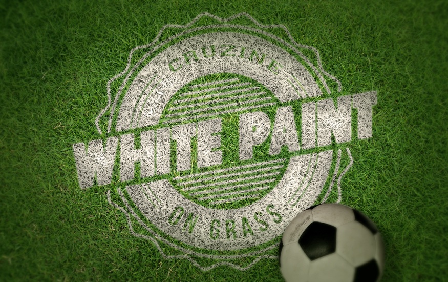 足球与草地组成的场景logo样机