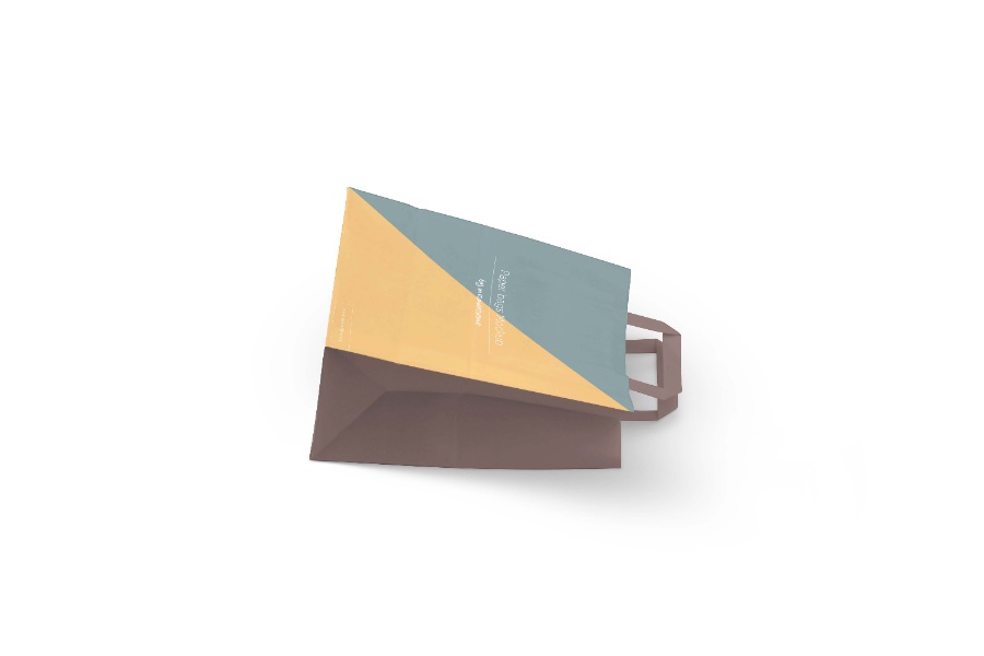 环保纸袋系列样机模板