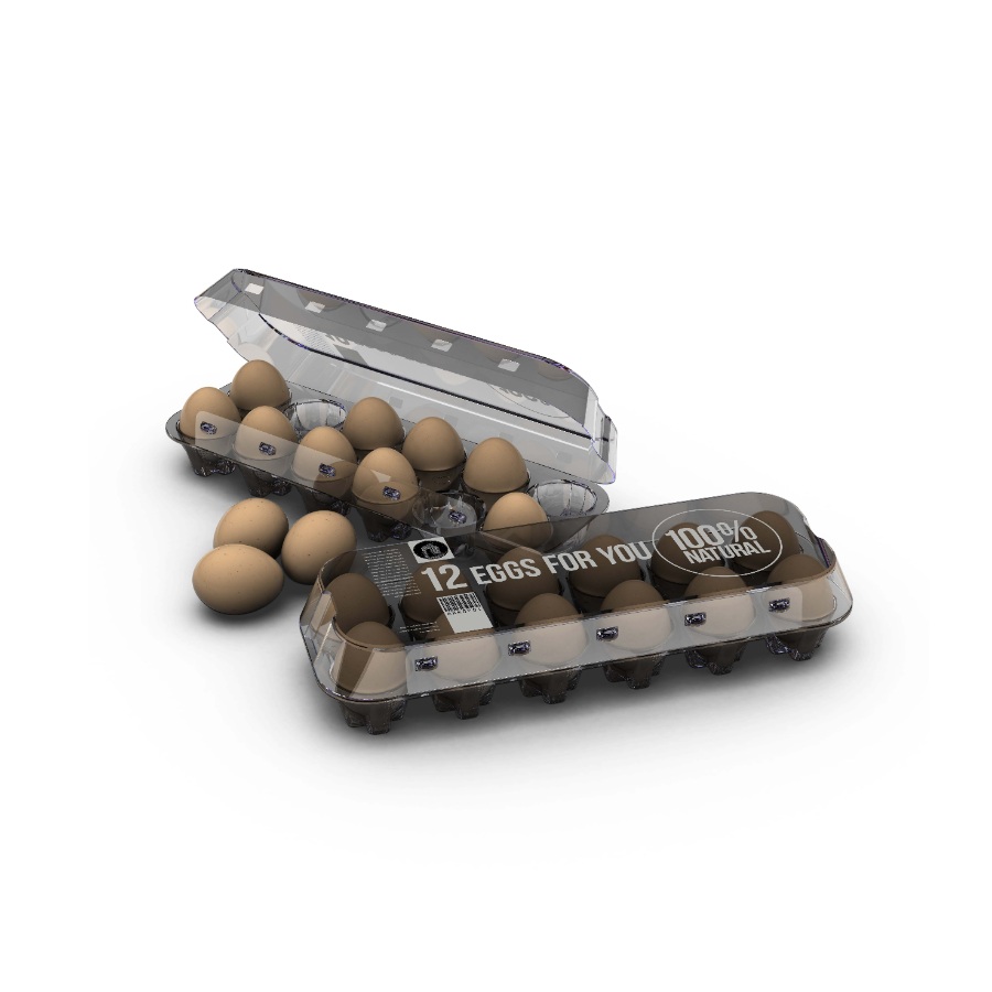 雞蛋盒樣機素材