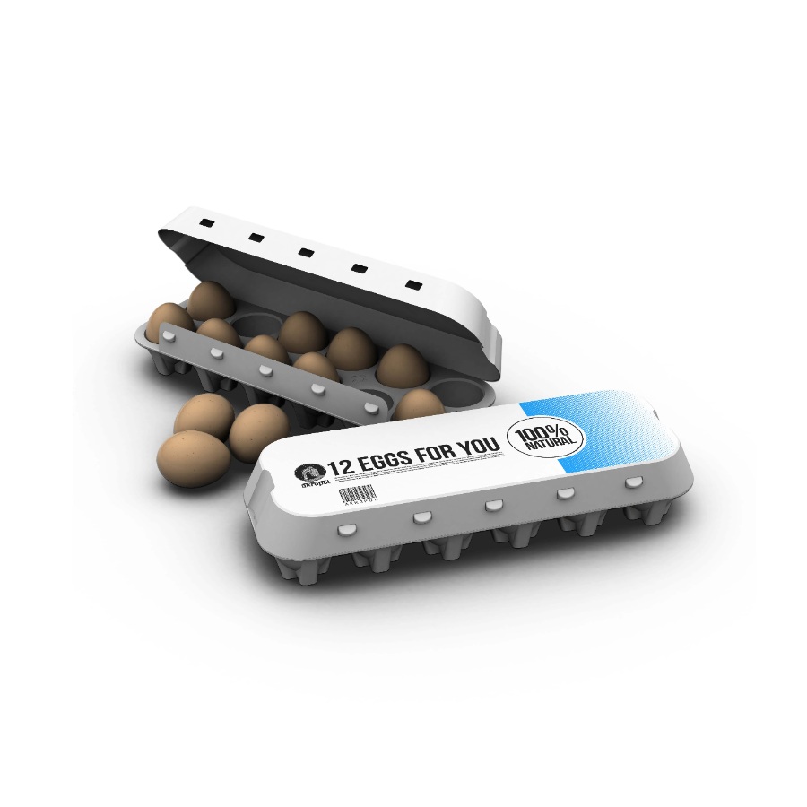 雞蛋盒包裝設(shè)計ps樣機模板