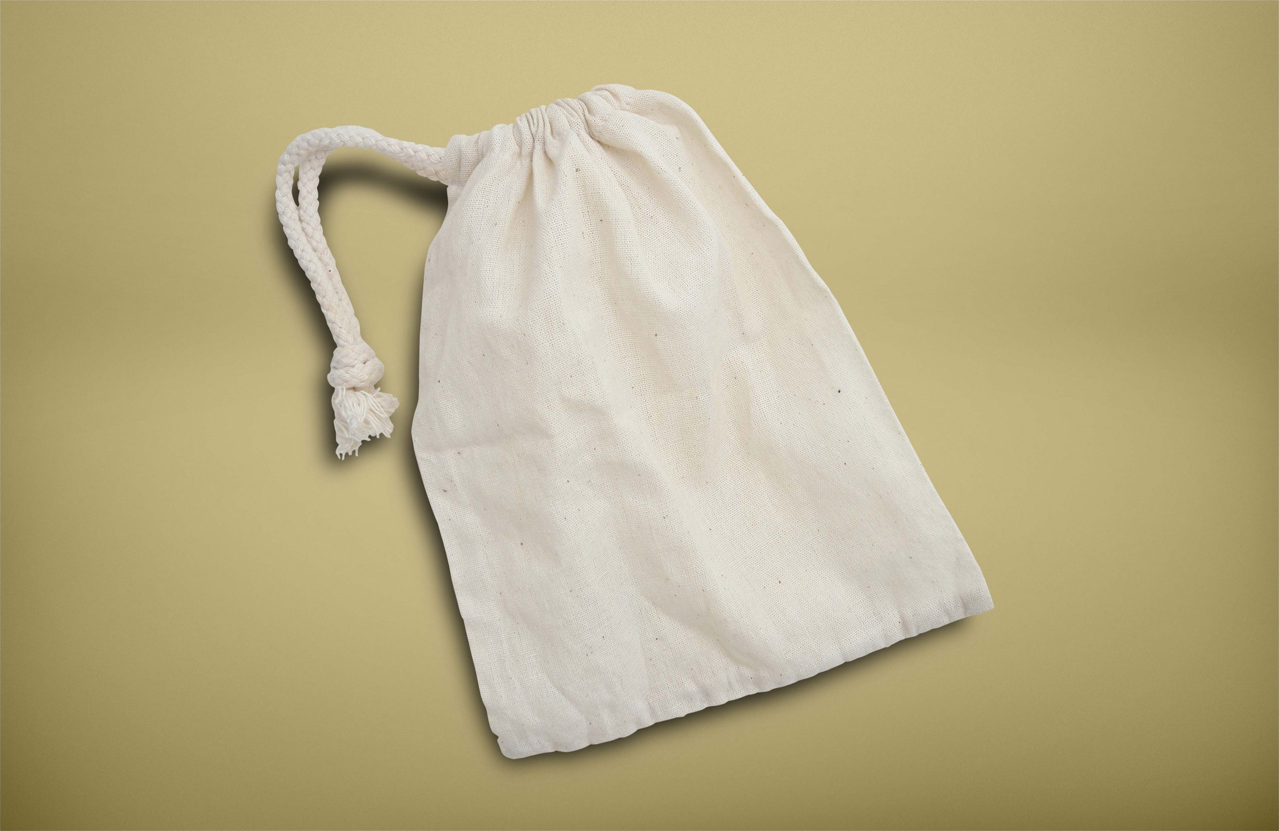 简洁帆布袋样机