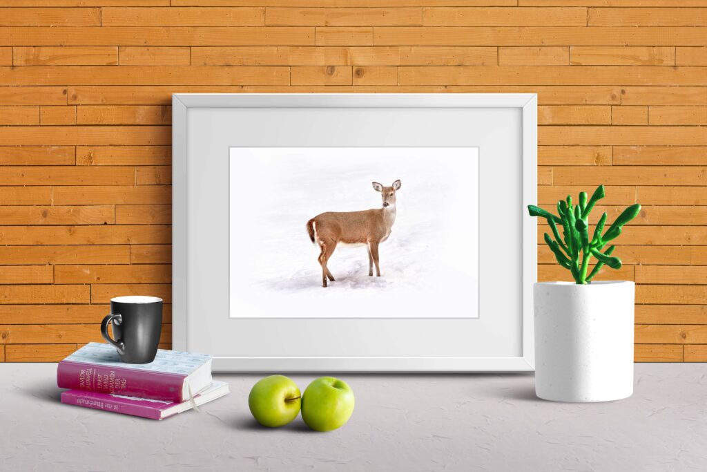 桌面相册展示ps样机