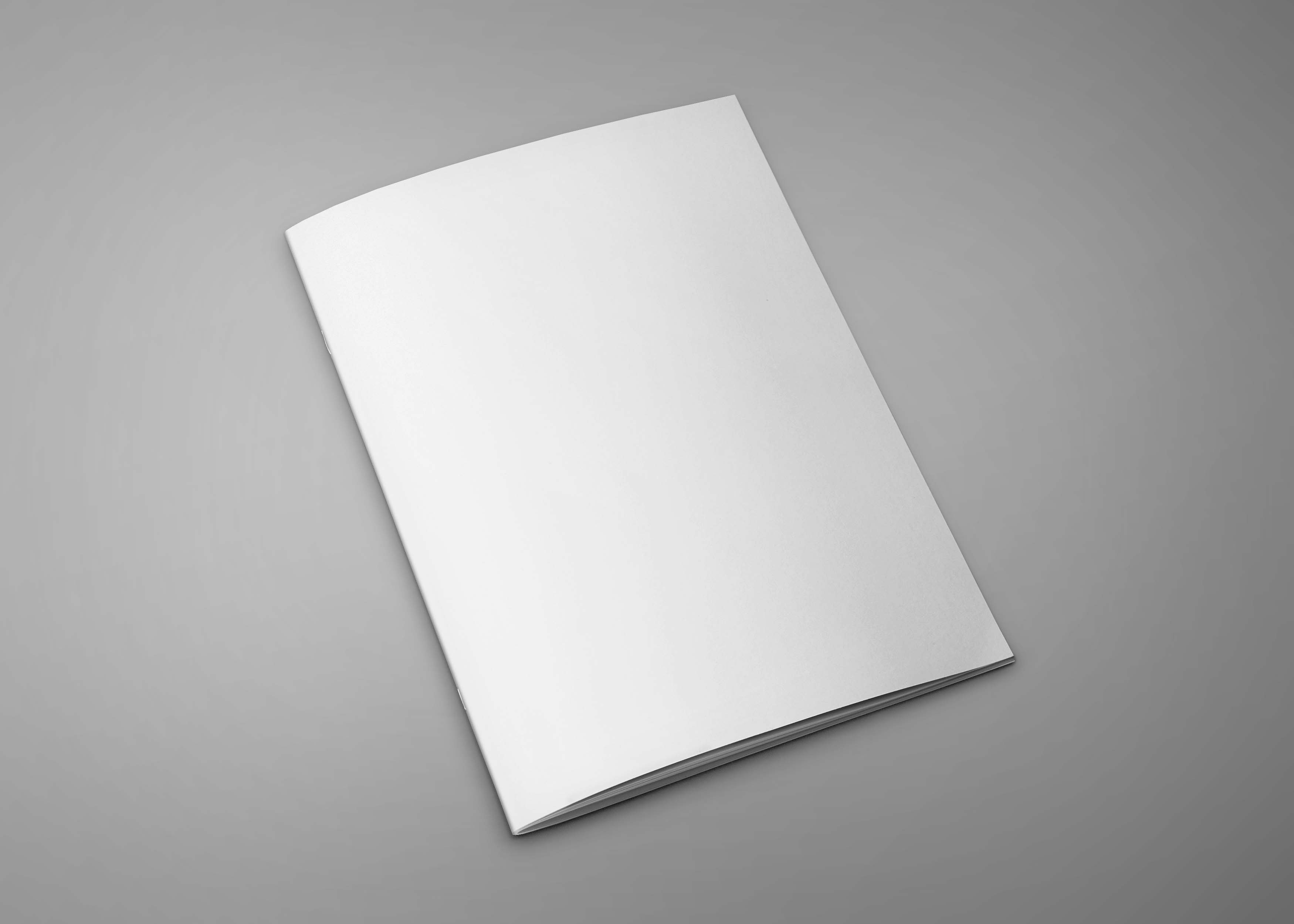 杂志画册样机素材