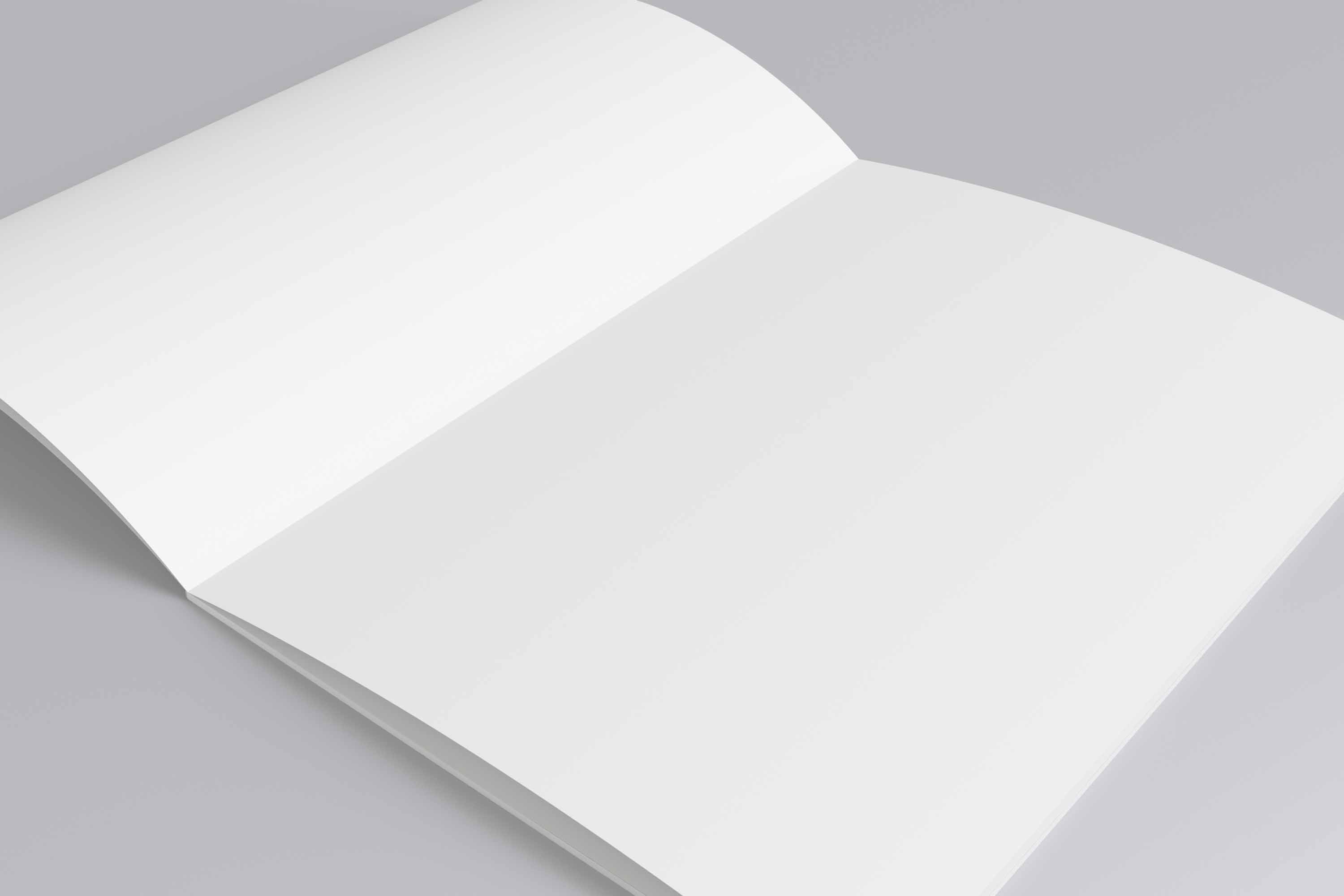 多角度展示画册psd样机