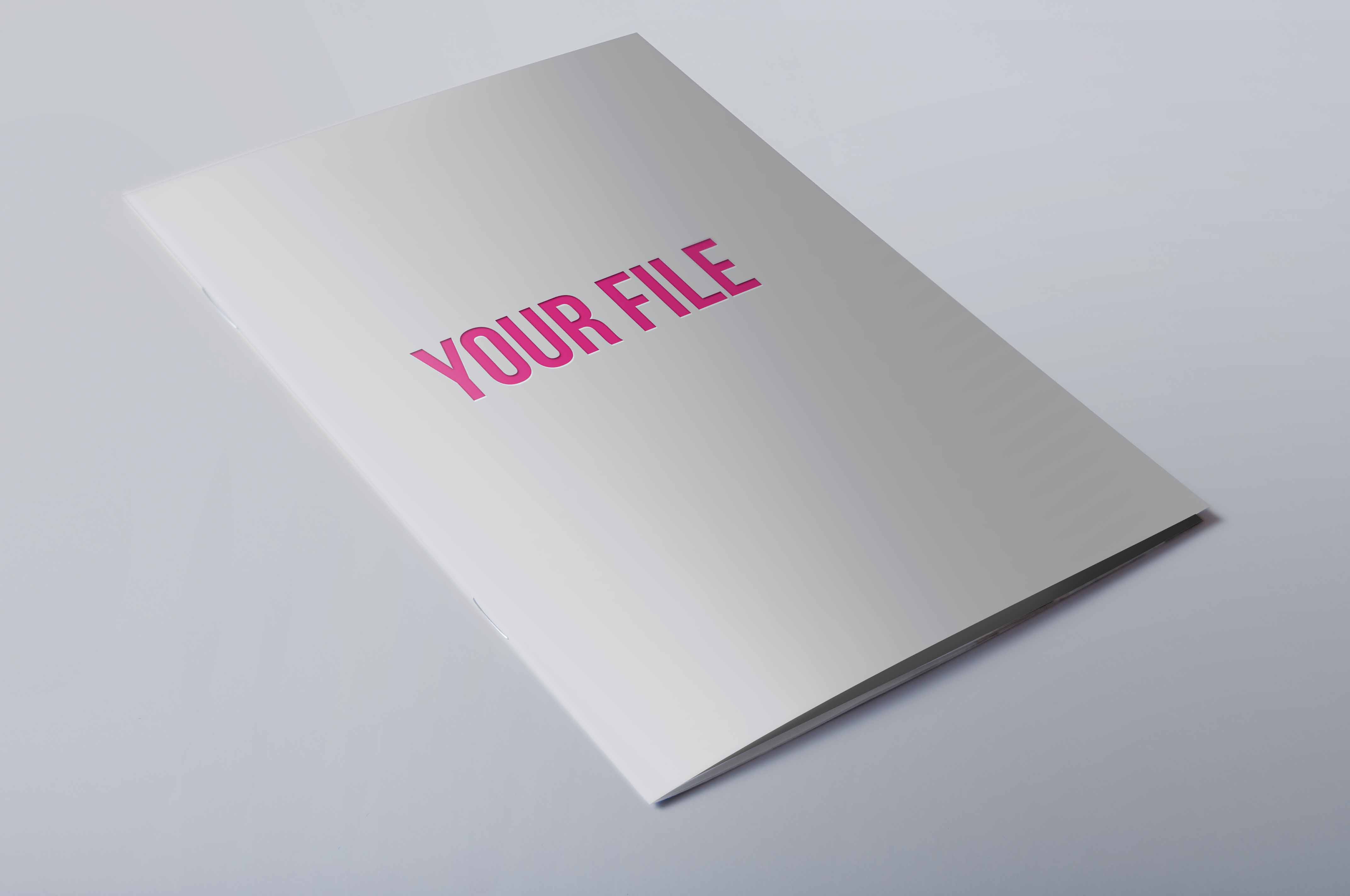 竖版开本psd样机