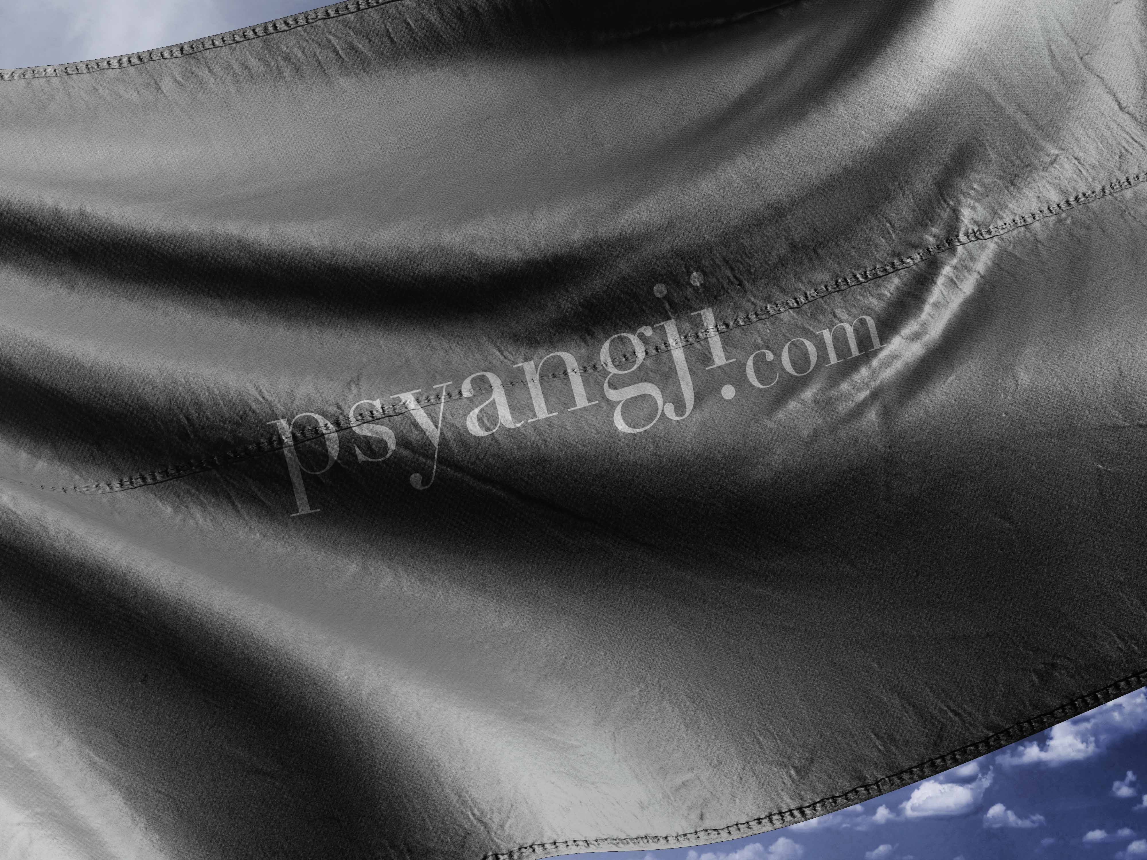 品牌旗帜设计PS样机