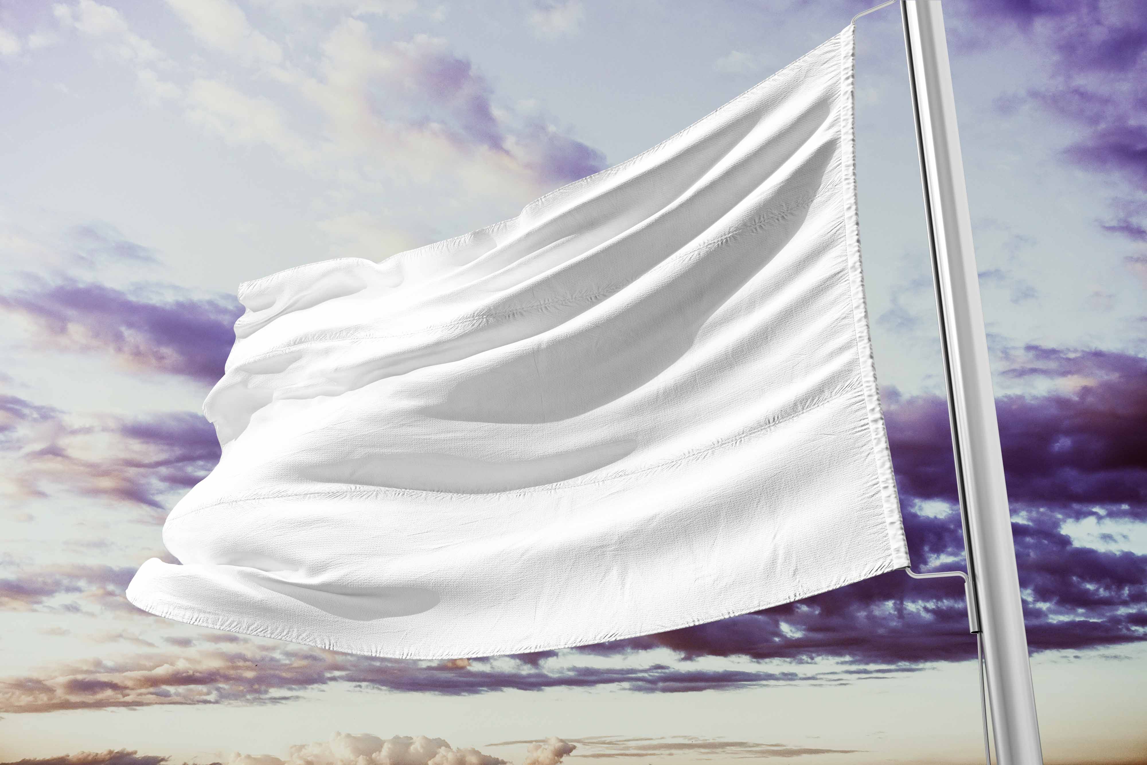 飘扬的旗帜效果psd样机