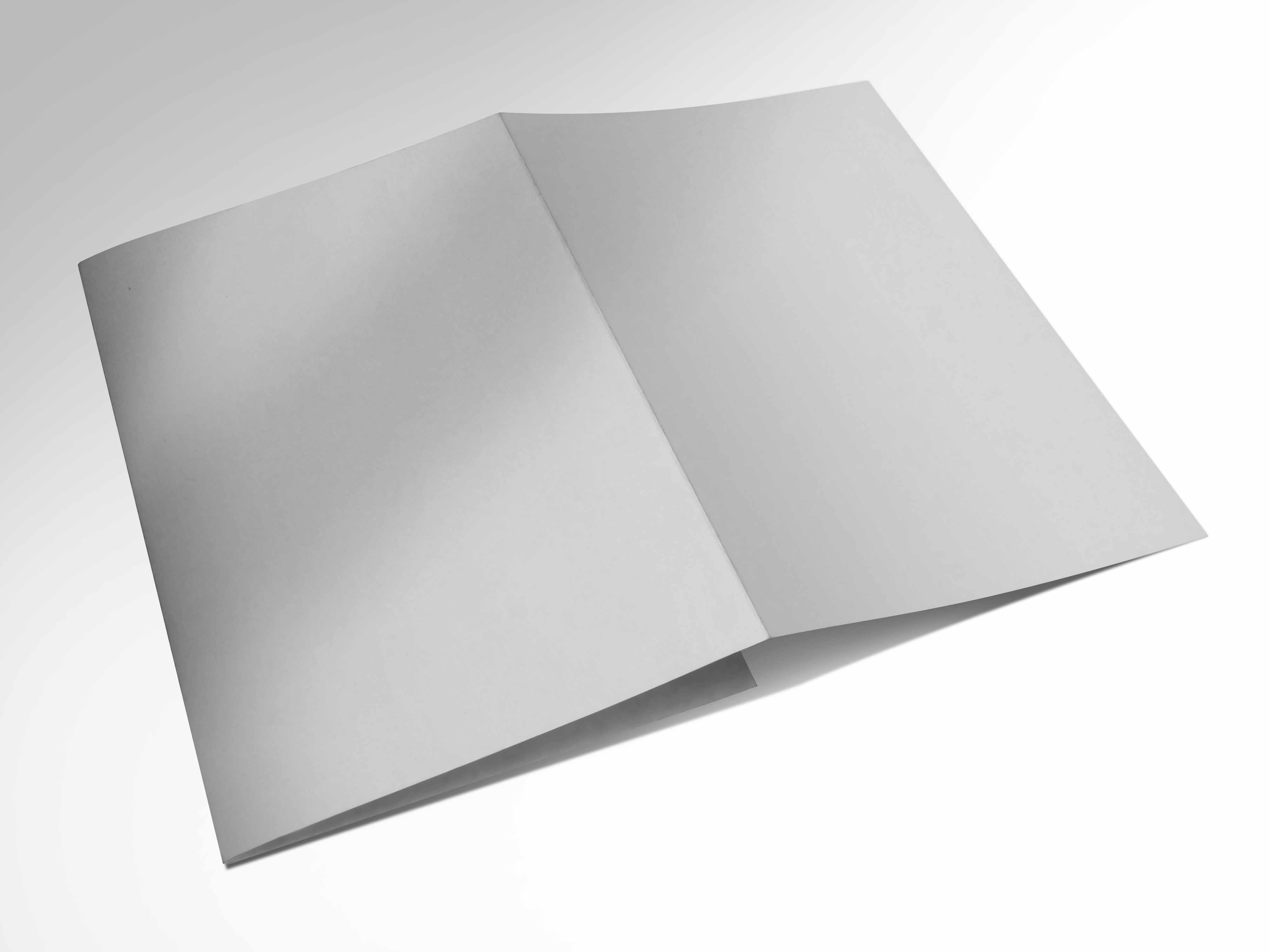 A5大三折页ps样机