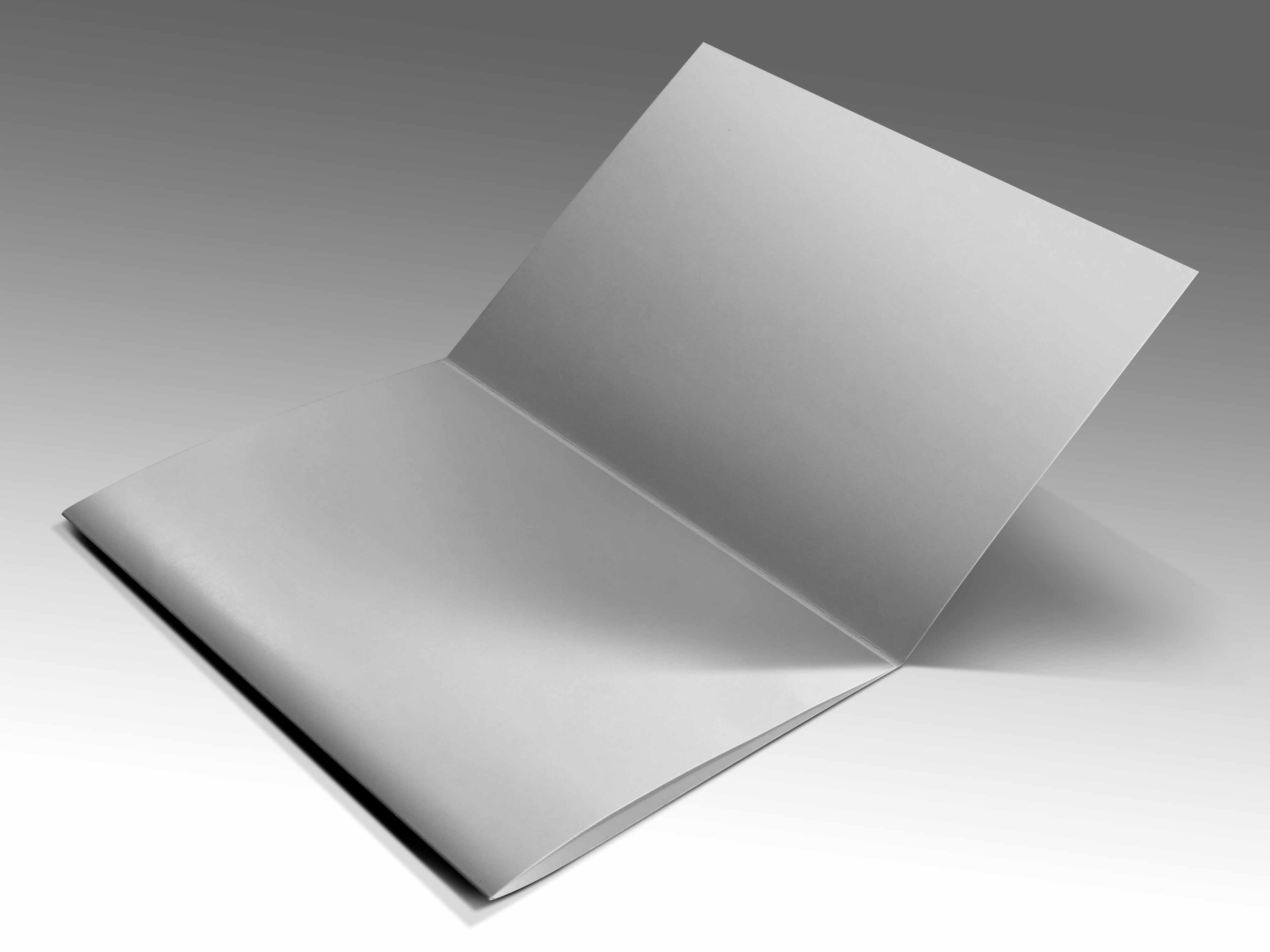 a5三折页素材样机