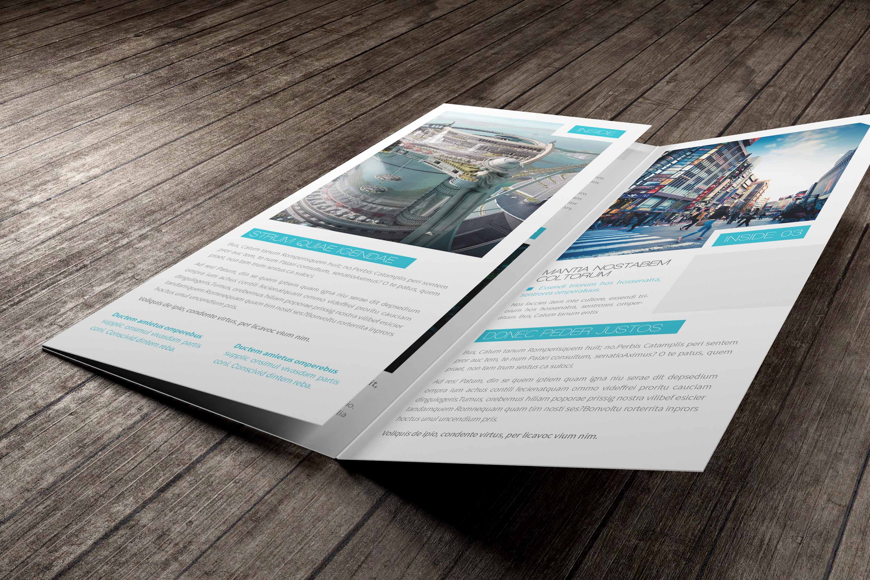 三折页ps样机设计元素