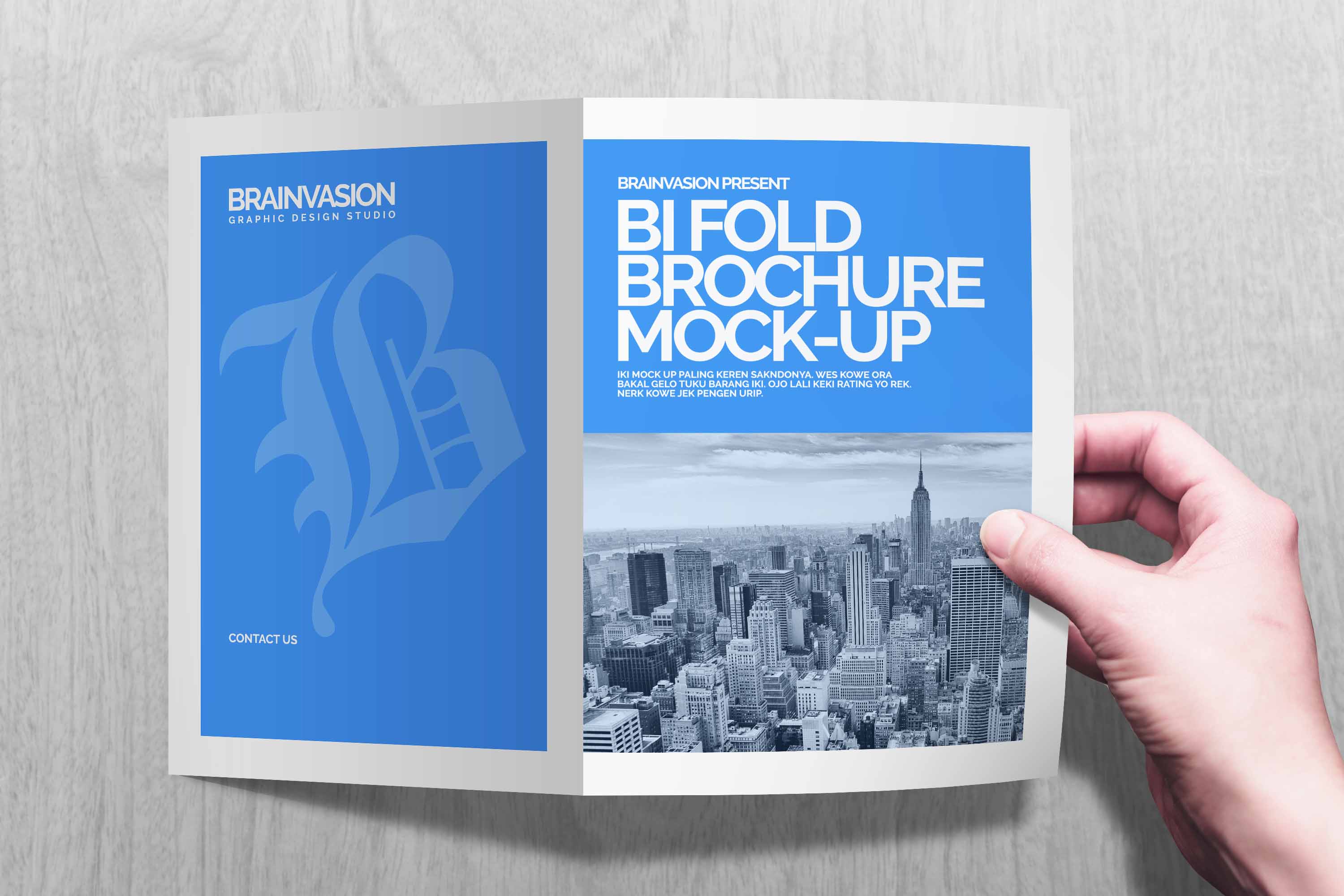 二折页ps贴图模板