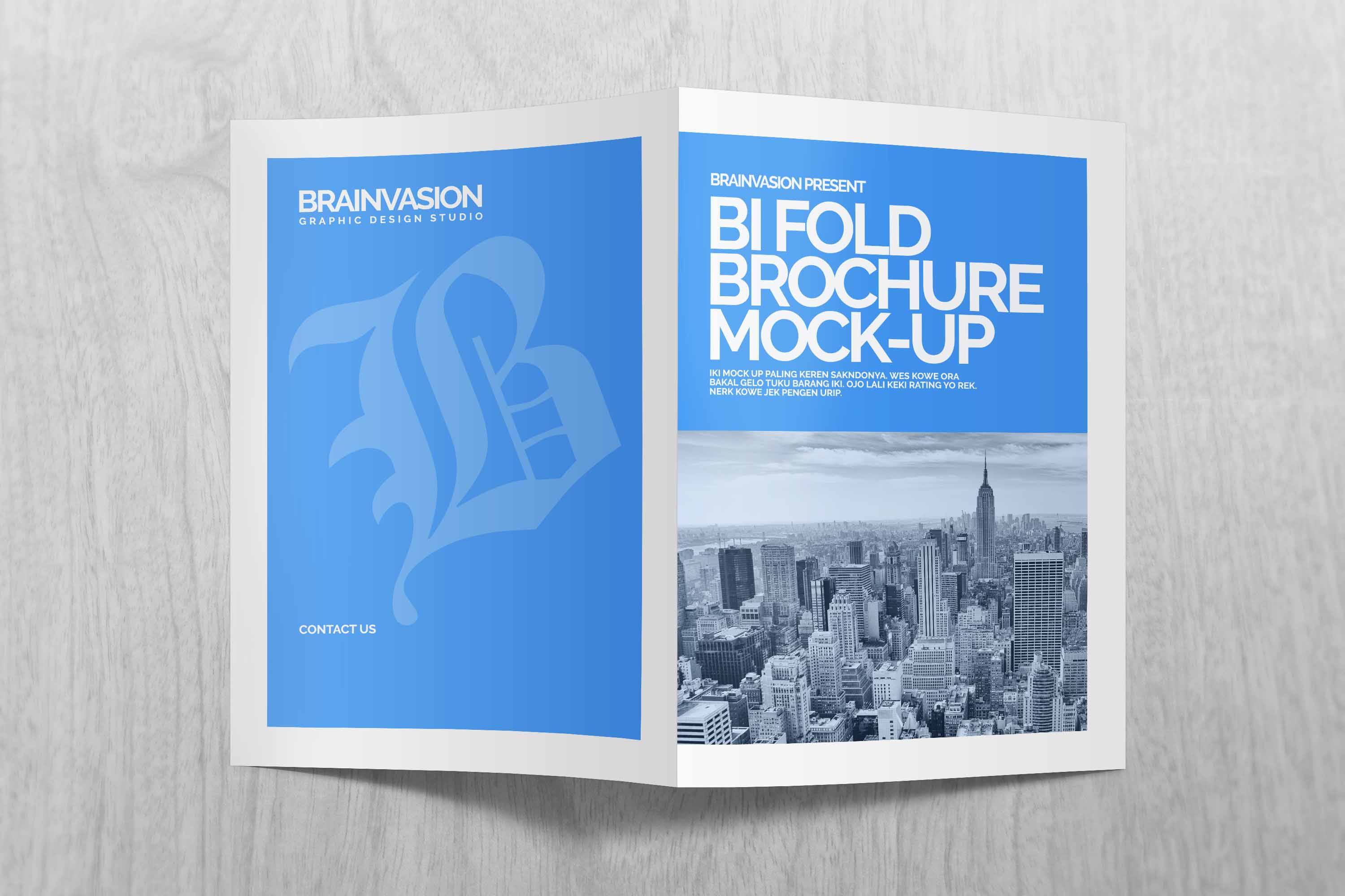 二折页贴图ps样机素材