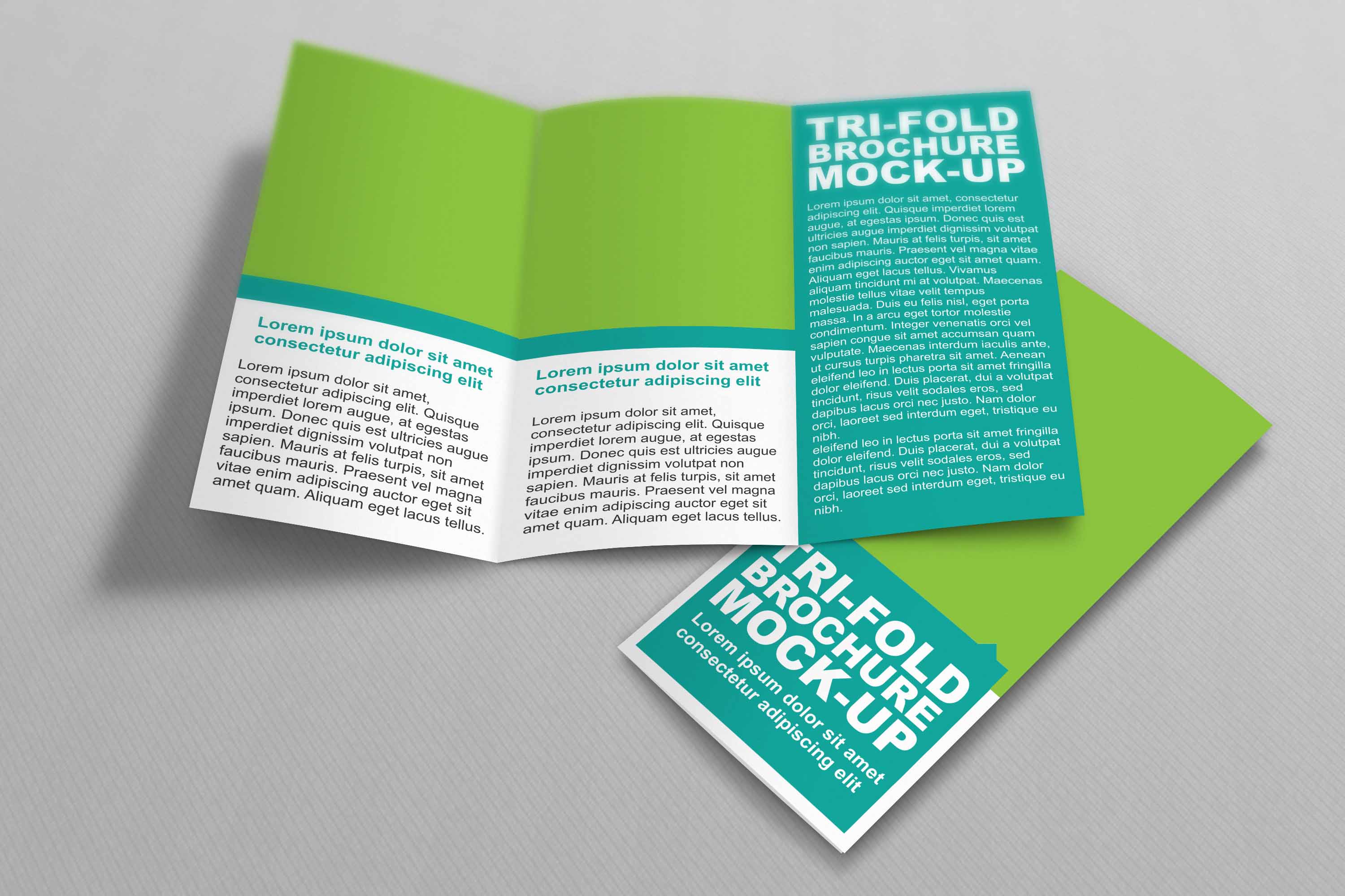 创意折页设计ps样机素材