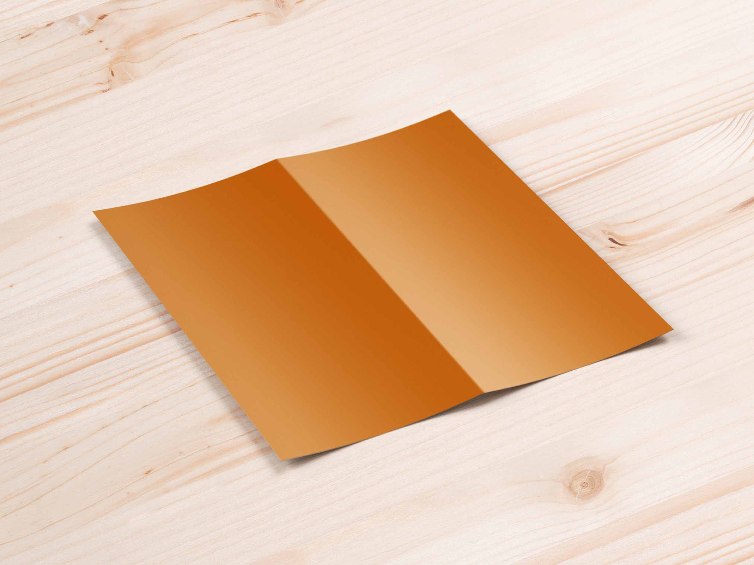 样机二折页ps样机