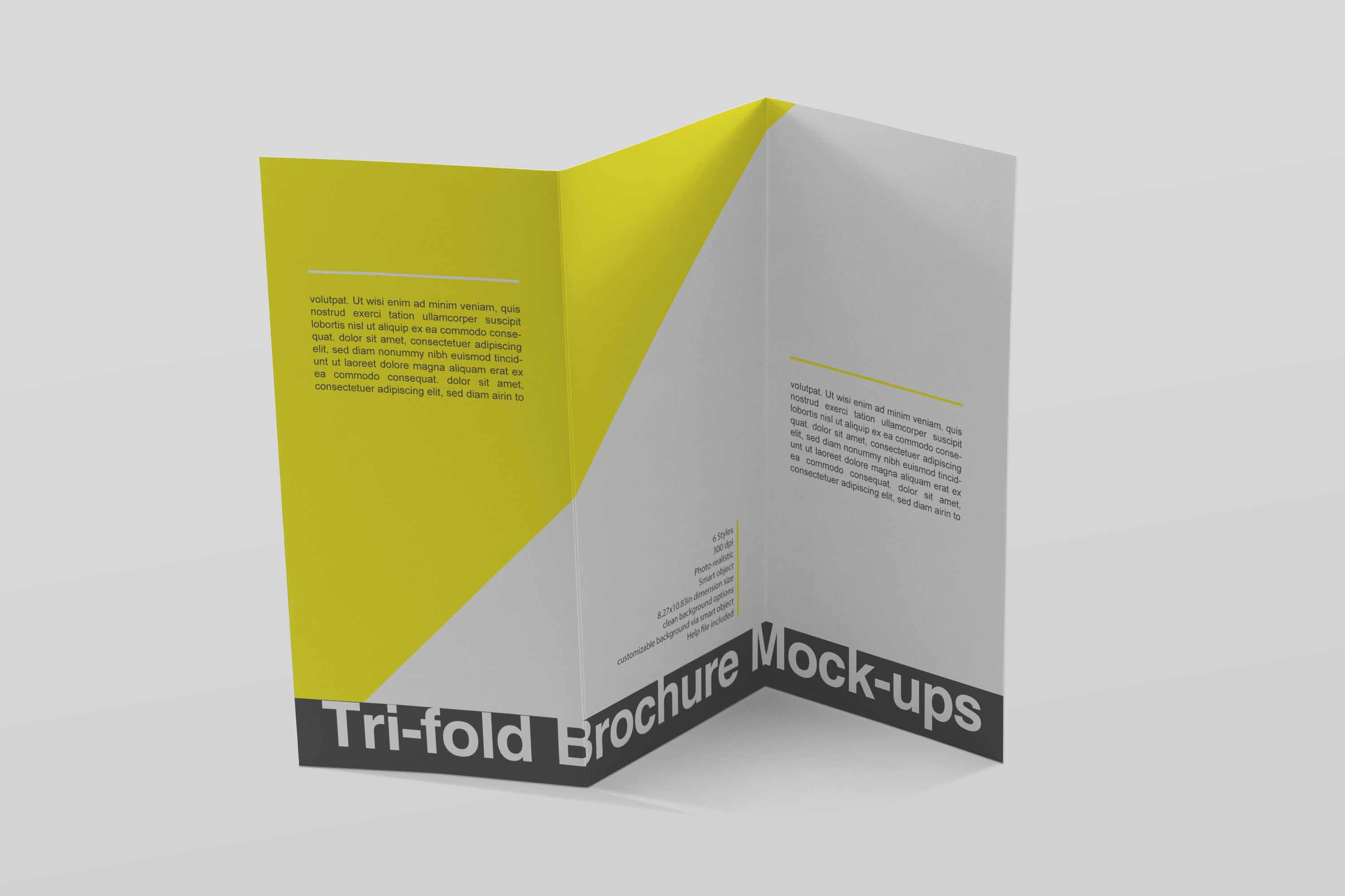 酸性三折页模板ps样机