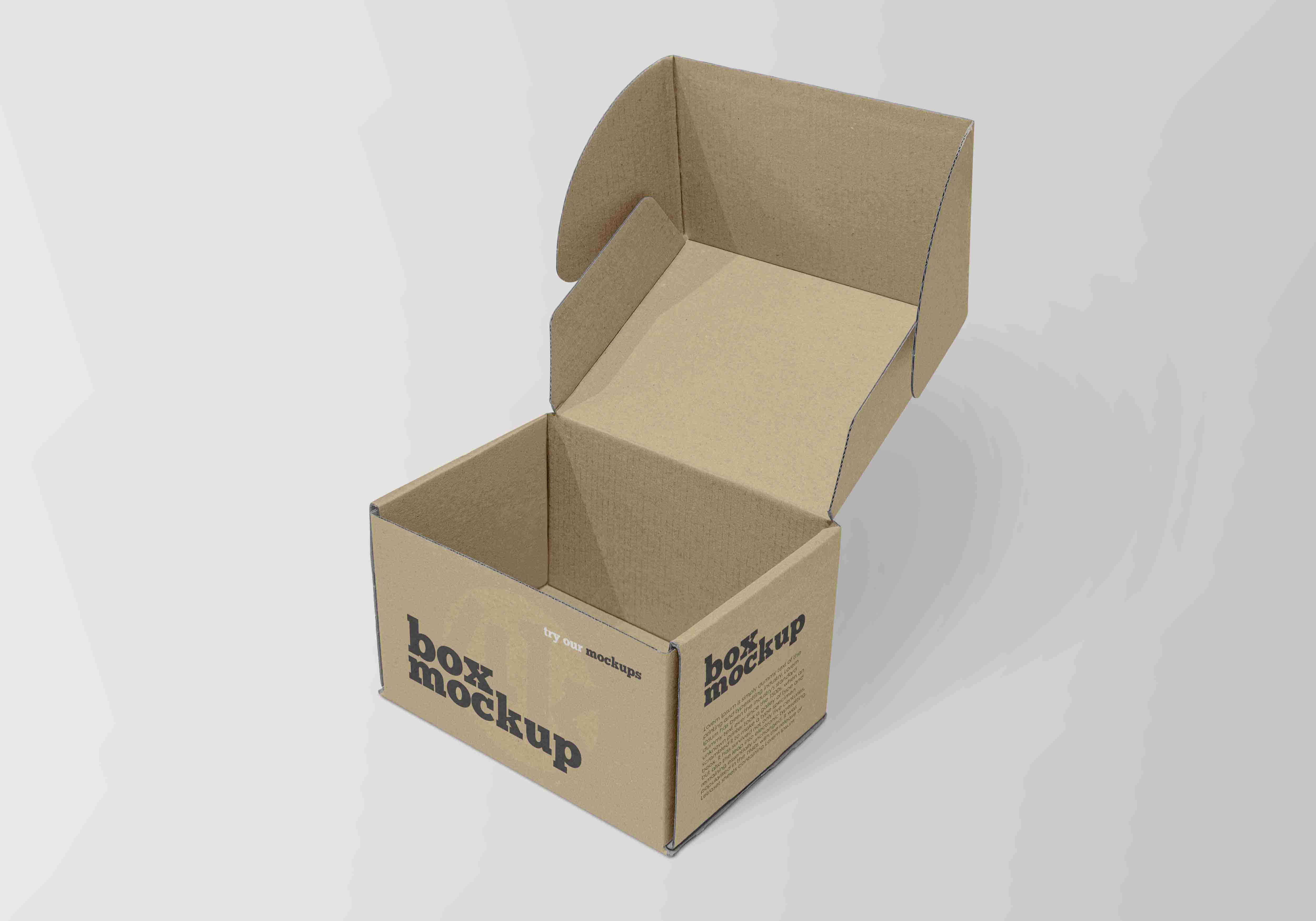 打包箱vi设计psd样机